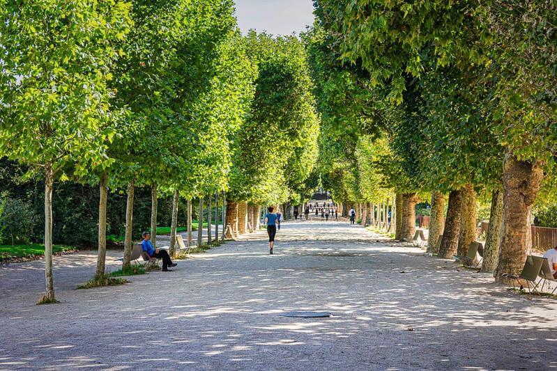 201 - Jardins Des Plantes -paris 5 - Flat-guest Apartment